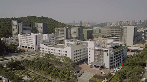 Hong Kong University of Shenzhen